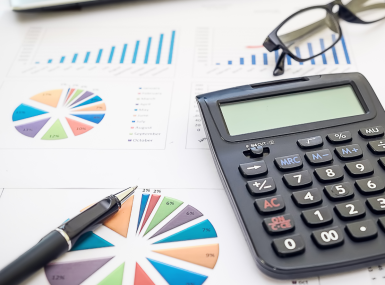 FY 2026 Budget Veto Summary